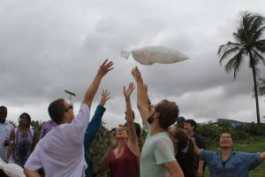 12993479_10156760143130394_1661241635757375541_n