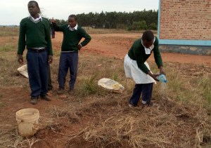 img_20161004_165559_2